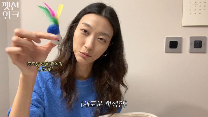 집사들 고양이 장난감 왤케 많이 사는거야 | 인스티즈