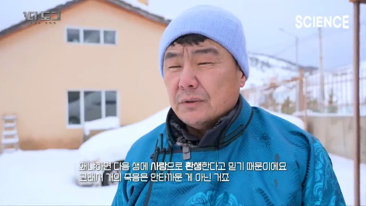 -30도 겨울에 태어나는 몽골 강아지 -상- | 인스티즈