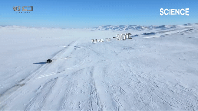 -30도 겨울에 태어나는 몽골 강아지 -상- | 인스티즈