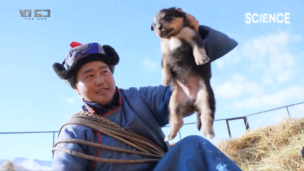 -30도 겨울에 태어나는 몽골 강아지 -상- | 인스티즈