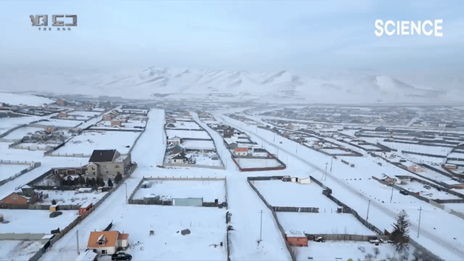 -30도 겨울에 태어나는 몽골 강아지 -상- | 인스티즈