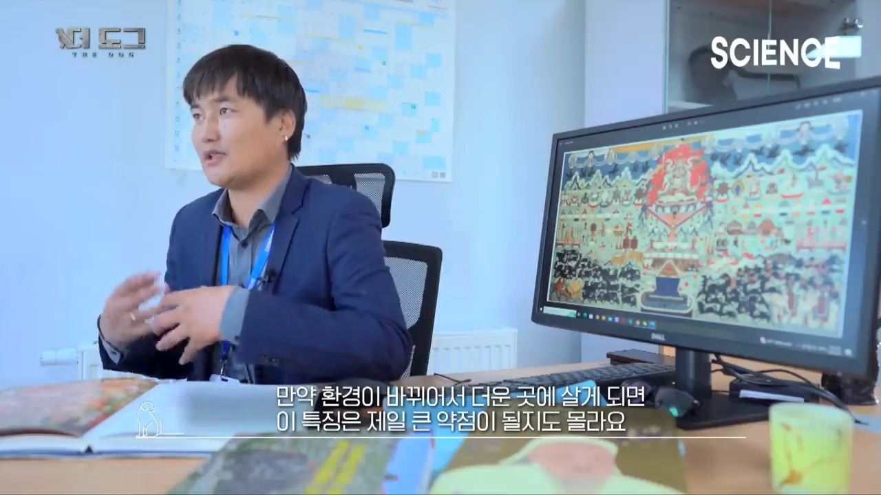 -30도 겨울에 태어나는 몽골 강아지 -상- | 인스티즈