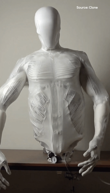 요즘 휴머노이드 개발 근황 | 인스티즈