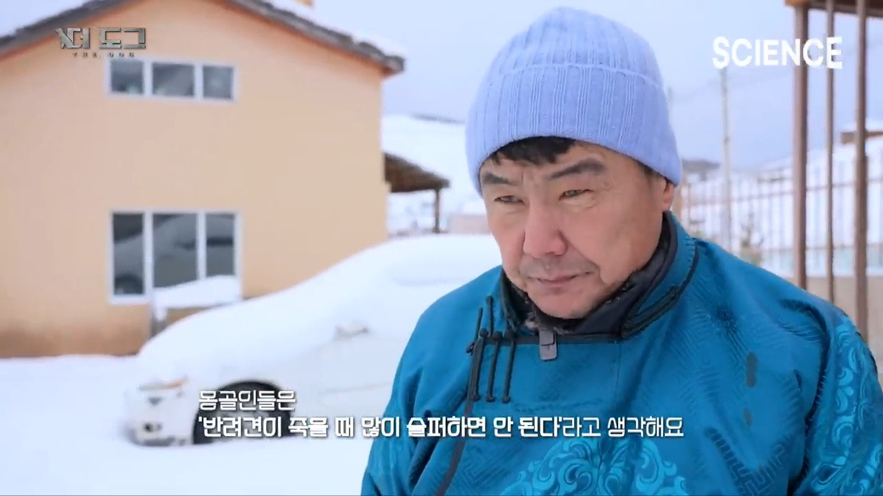 -30도 겨울에 태어나는 몽골 강아지 -상- | 인스티즈