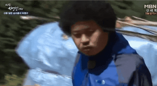 전생에 말벌한테 죽은 꿀벌.gif | 인스티즈