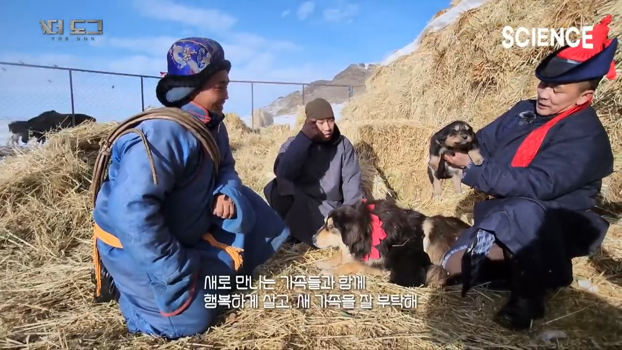 -30도 겨울에 태어나는 몽골 강아지 -상- | 인스티즈