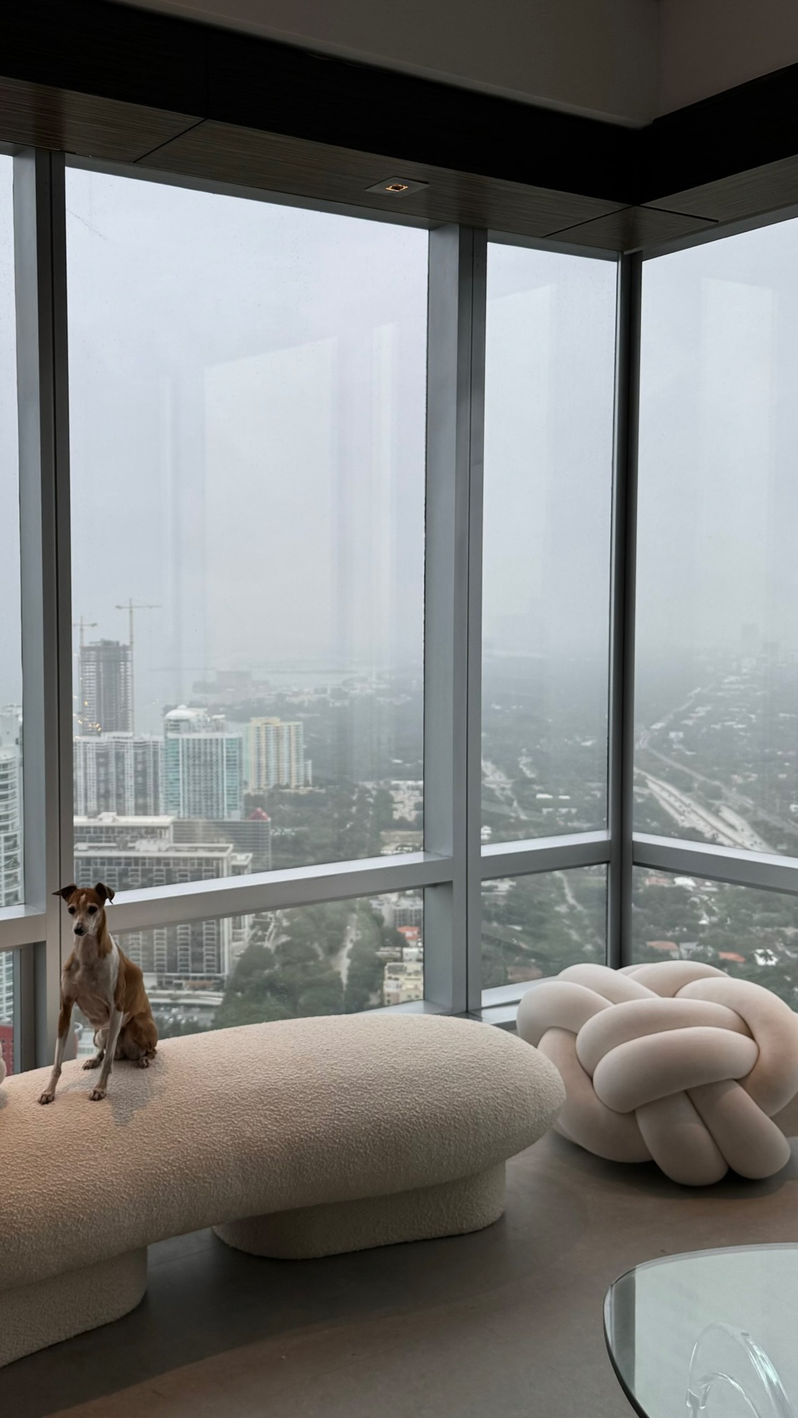 해외 인플루언서들이 올린 일상 사진들... jpg | 인스티즈