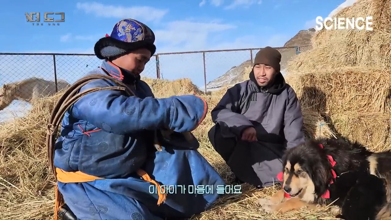 -30도 겨울에 태어나는 몽골 강아지 -상- | 인스티즈