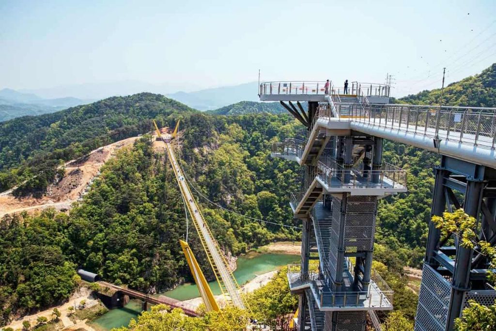 1월에만 1,315만 명 방문한 여행지 | 인스티즈