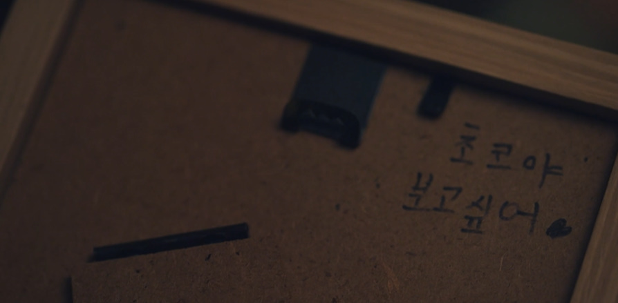 강아지 잊어버렸을 때 알고 있으면 좋은 상식들...jpg | 인스티즈