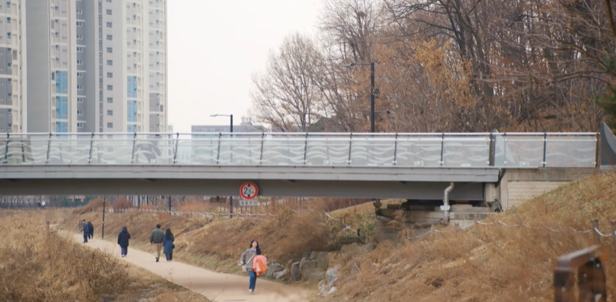 강아지 잊어버렸을 때 알고 있으면 좋은 상식들...jpg | 인스티즈