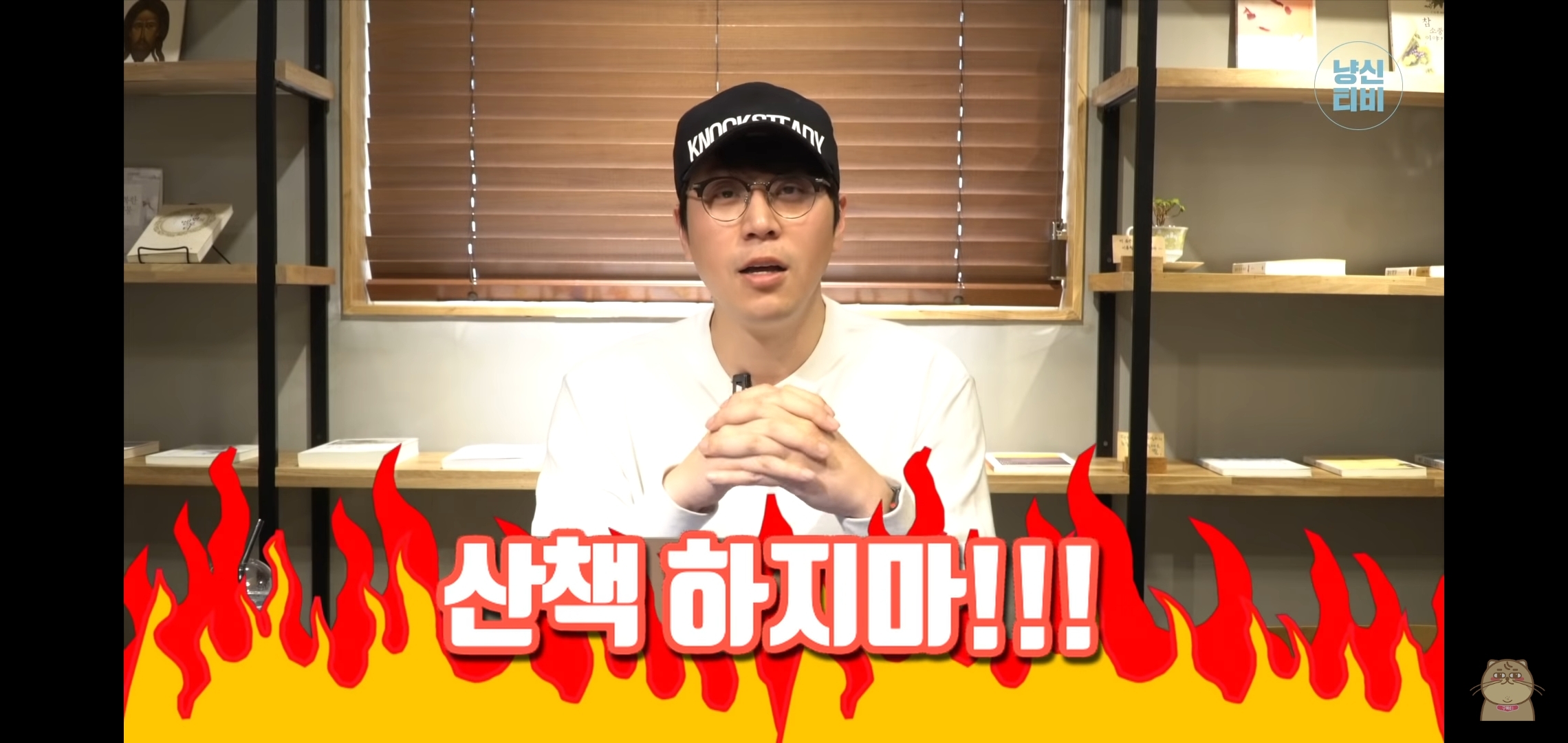  고양이 산책? 하지마!!!!!