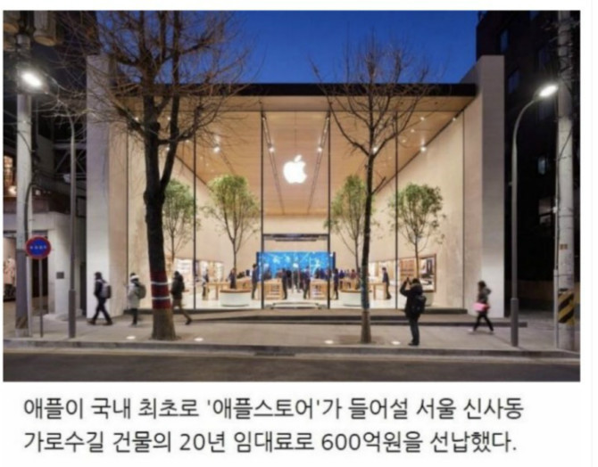 신사동 애플스토어 건물주.jpg | 인스티즈