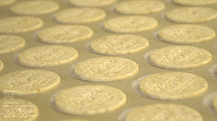 오리온 다이제 초코의 제조과정.gif | 인스티즈