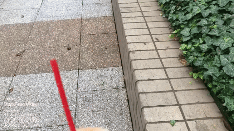 세계 9개국의 커피를 즐기는 방식.gif | 인스티즈