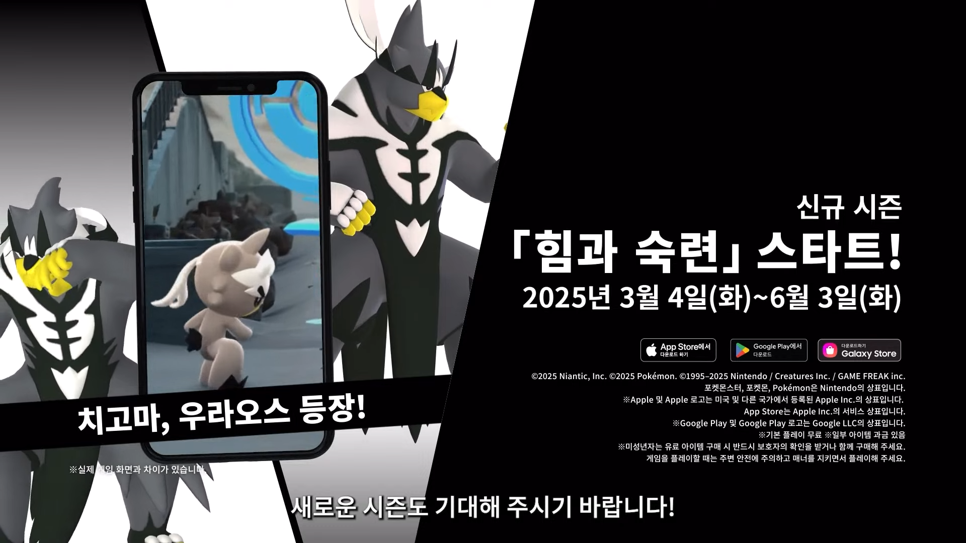 2.27 포켓몬스터 다이렉트 전체 정보 정리 | 인스티즈