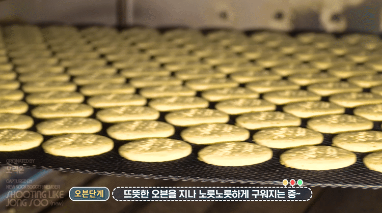 오리온 다이제 초코의 제조과정.gif | 인스티즈