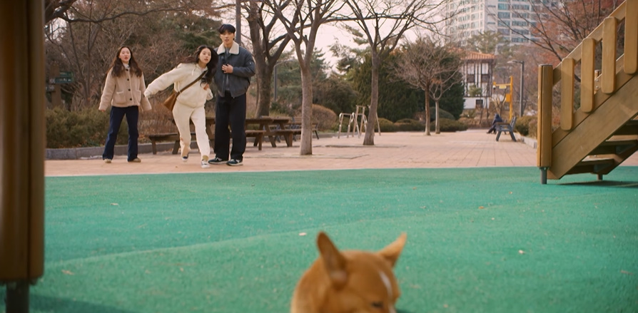 강아지 잊어버렸을 때 알고 있으면 좋은 상식들...jpg | 인스티즈