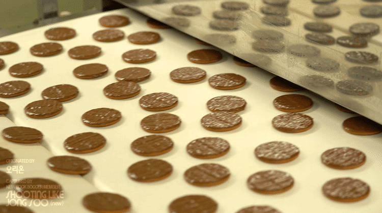 오리온 다이제 초코의 제조과정.gif | 인스티즈