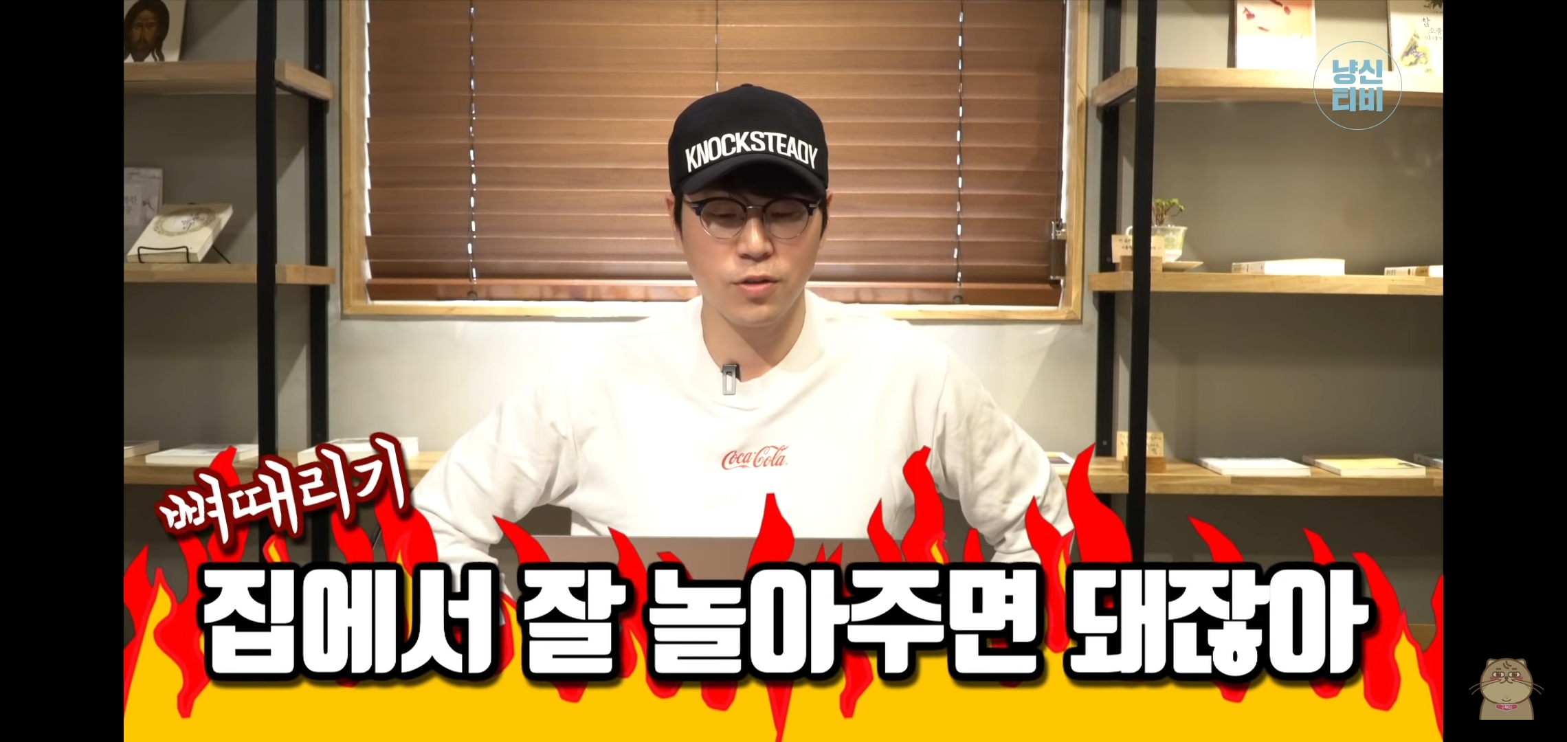 고양이 산책? 하지마!!!!! | 인스티즈