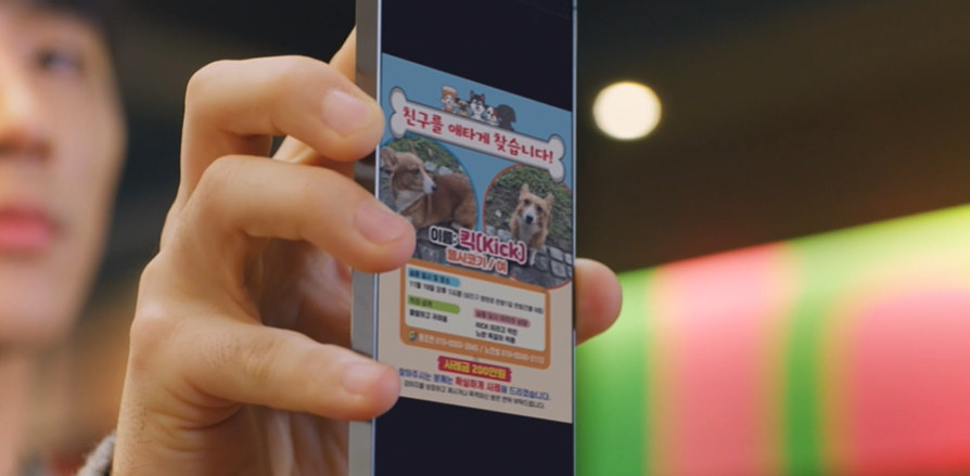 강아지 잊어버렸을 때 알고 있으면 좋은 상식들...jpg | 인스티즈