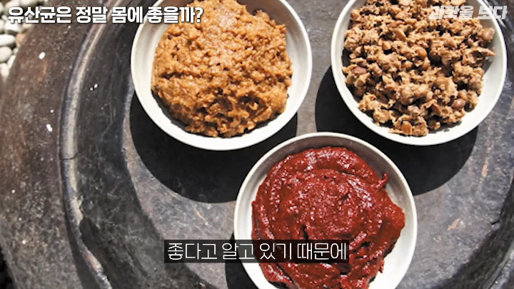 유산균은 몸에 좋지만 왜 좋은지 인류는 아직 잘 모른다 | 인스티즈