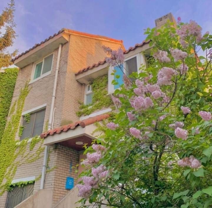 요새는 보기 힘든 저층아파트의 감성 | 인스티즈