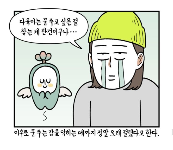 다육이 키우는 초보자들이 제일 많이 하는 실수 | 인스티즈