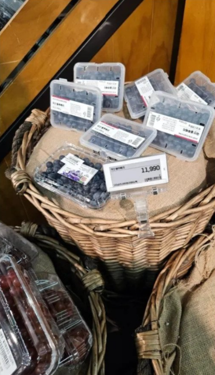 무단으로 블루베리 5KG 넘게 몰래 따간 사람 | 인스티즈