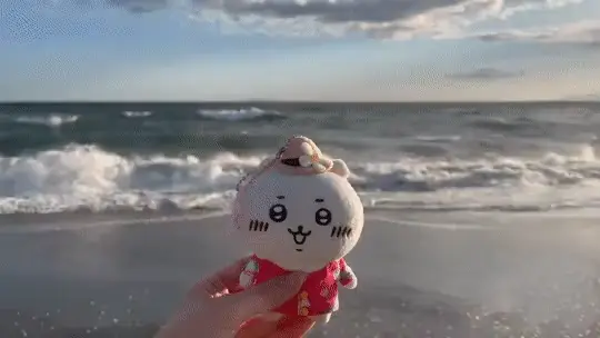바닷가에서 인형 사진을 찍으면 안되는 이유