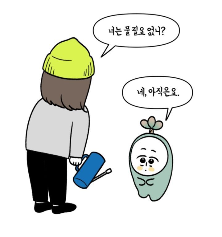 다육이 키우는 초보자들이 제일 많이 하는 실수 | 인스티즈