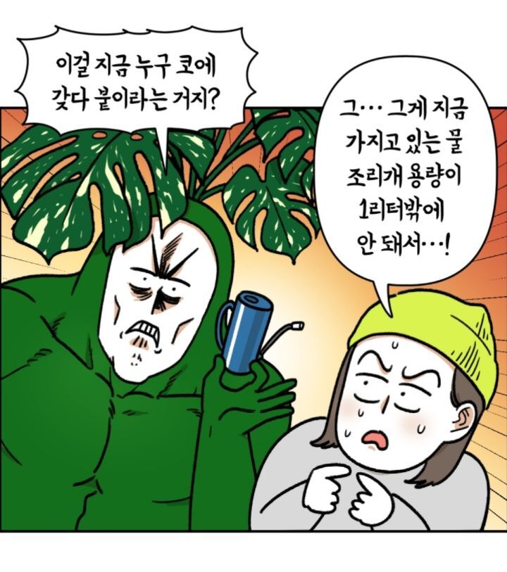 다육이 키우는 초보자들이 제일 많이 하는 실수 | 인스티즈