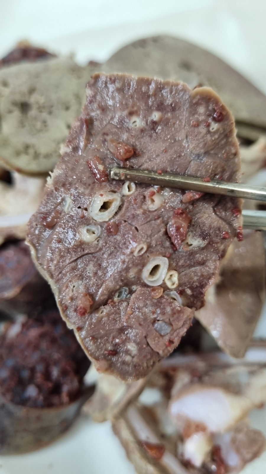 돼지내장중 호불호 | 인스티즈