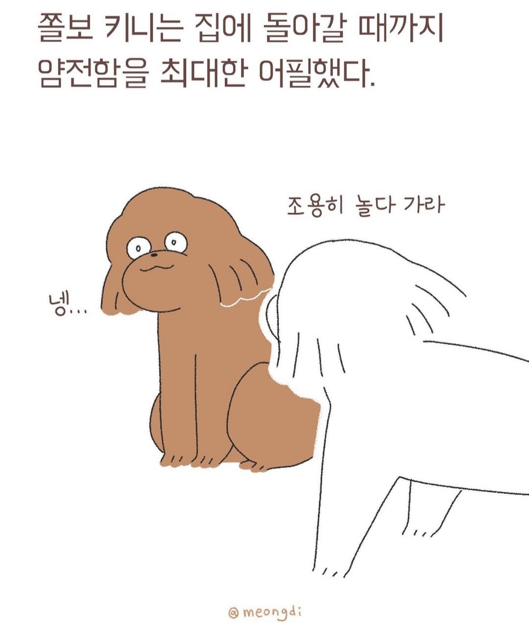 자신의 무해함을 최대한 어필하는 강쥐 | 인스티즈