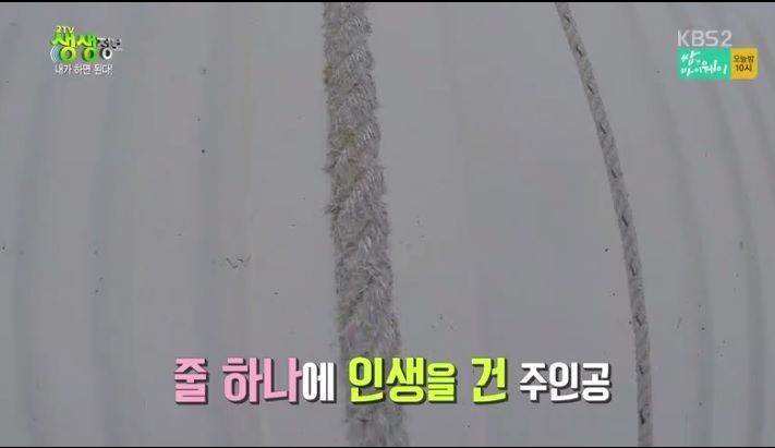  연봉 1억 아파트 외벽 도장공7
