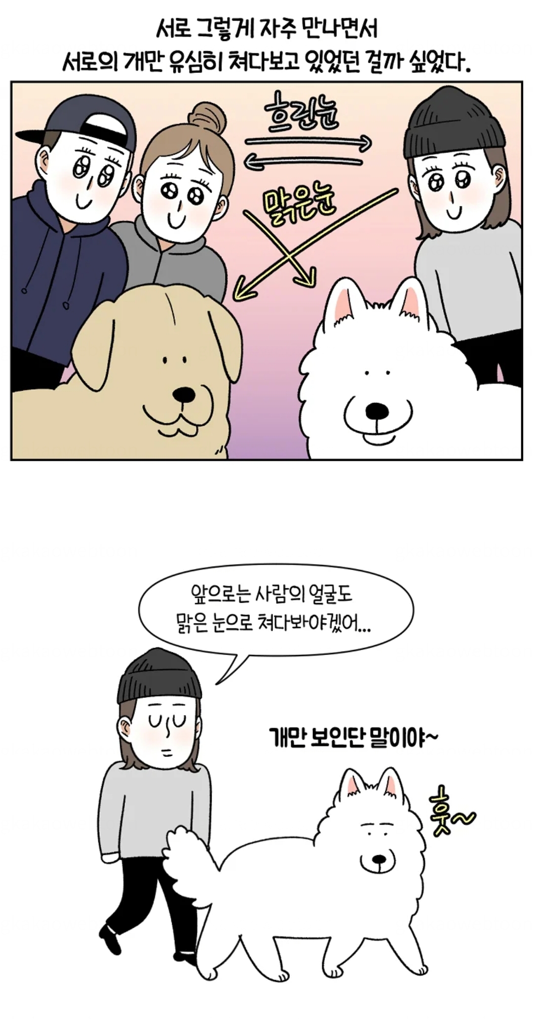 개가 없으면 서로를 알아보지 못하는 사람들 | 인스티즈