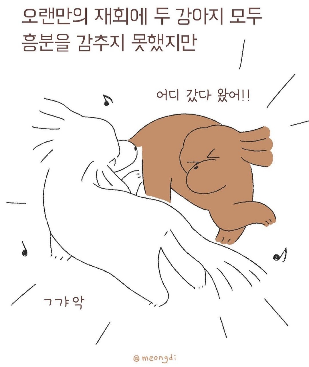 자신의 무해함을 최대한 어필하는 강쥐 | 인스티즈