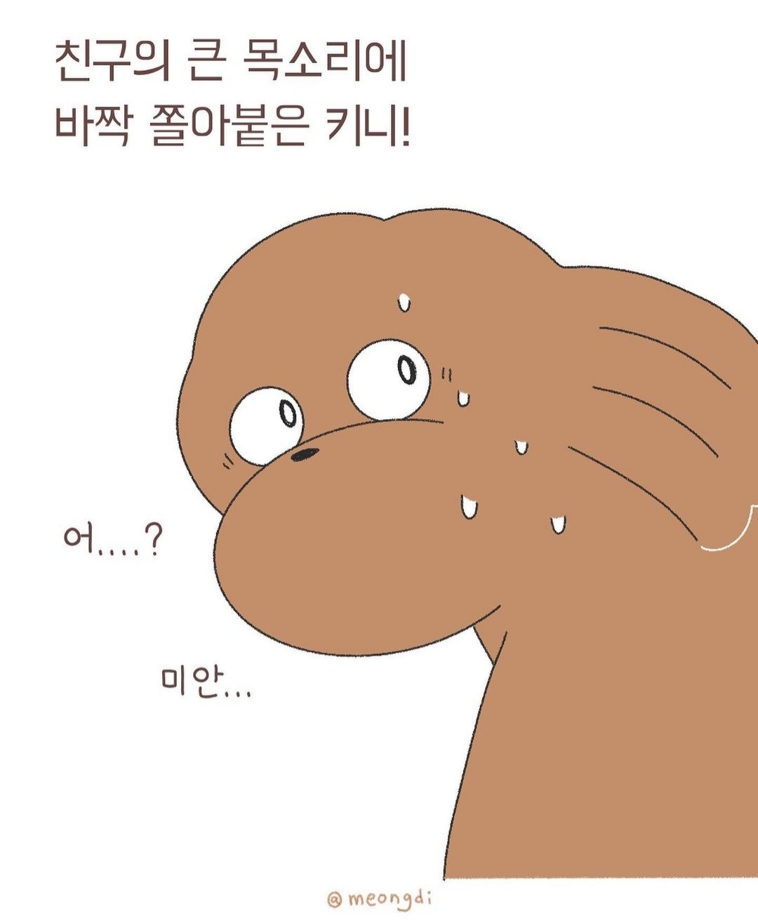 자신의 무해함을 최대한 어필하는 강쥐 | 인스티즈