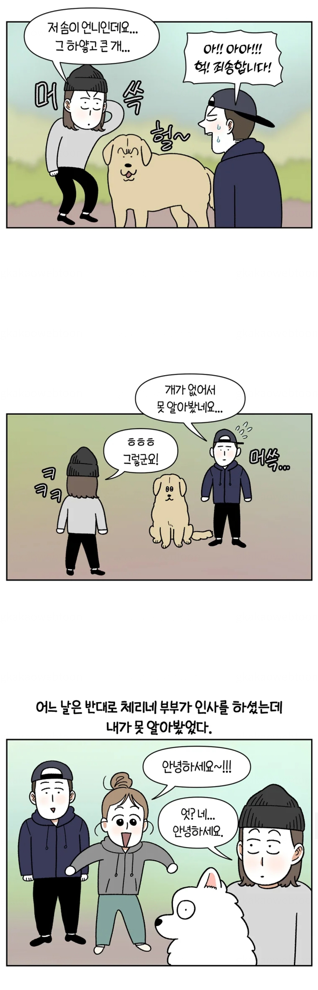 개가 없으면 서로를 알아보지 못하는 사람들 | 인스티즈