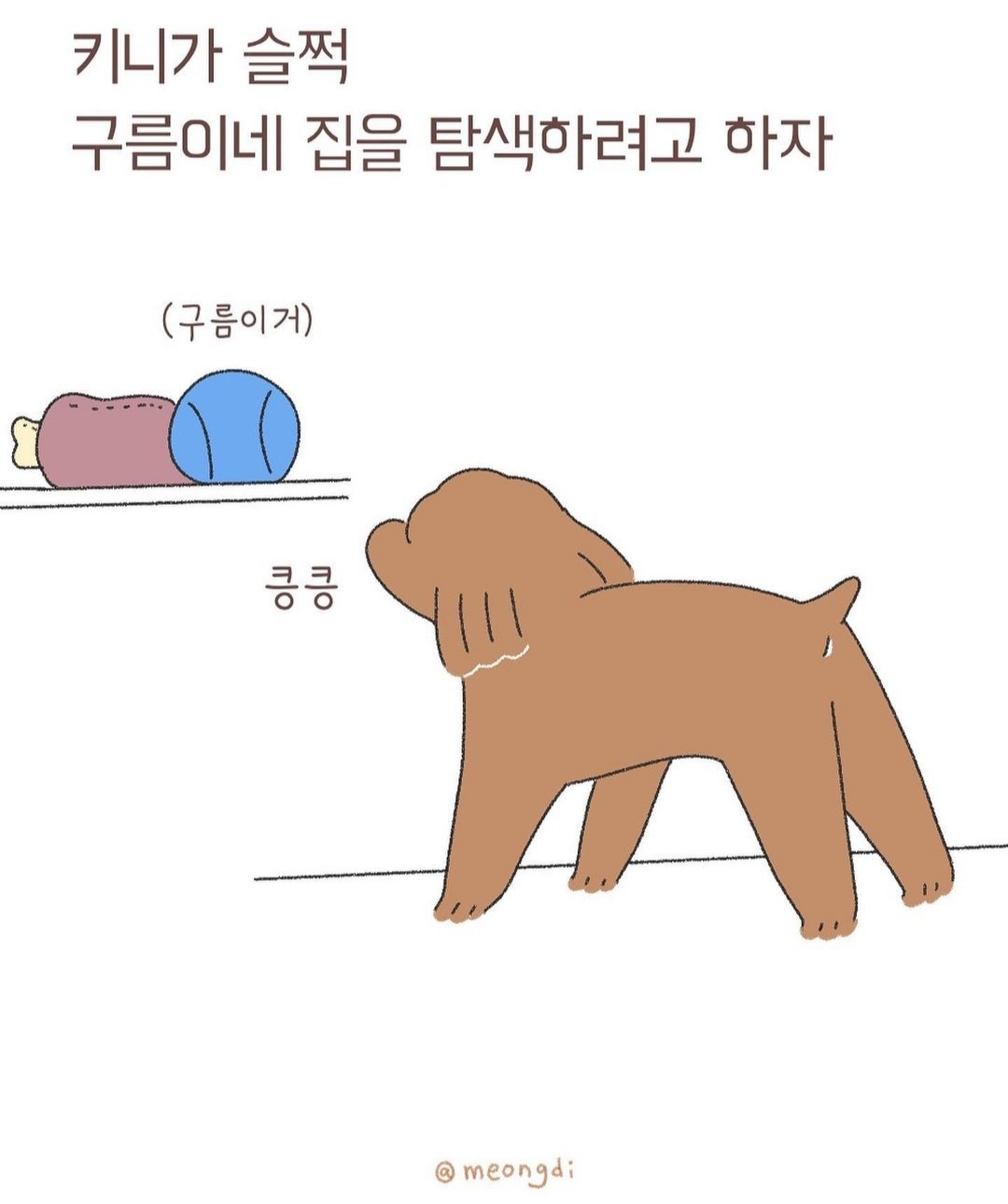 자신의 무해함을 최대한 어필하는 강쥐 | 인스티즈