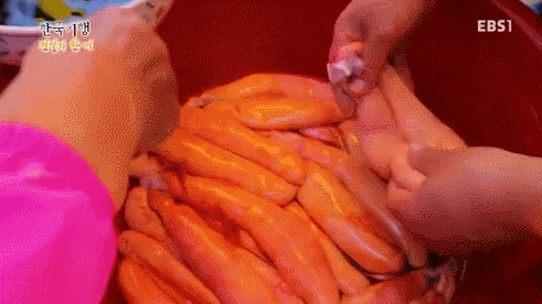 어란 만드는 과정 | 인스티즈