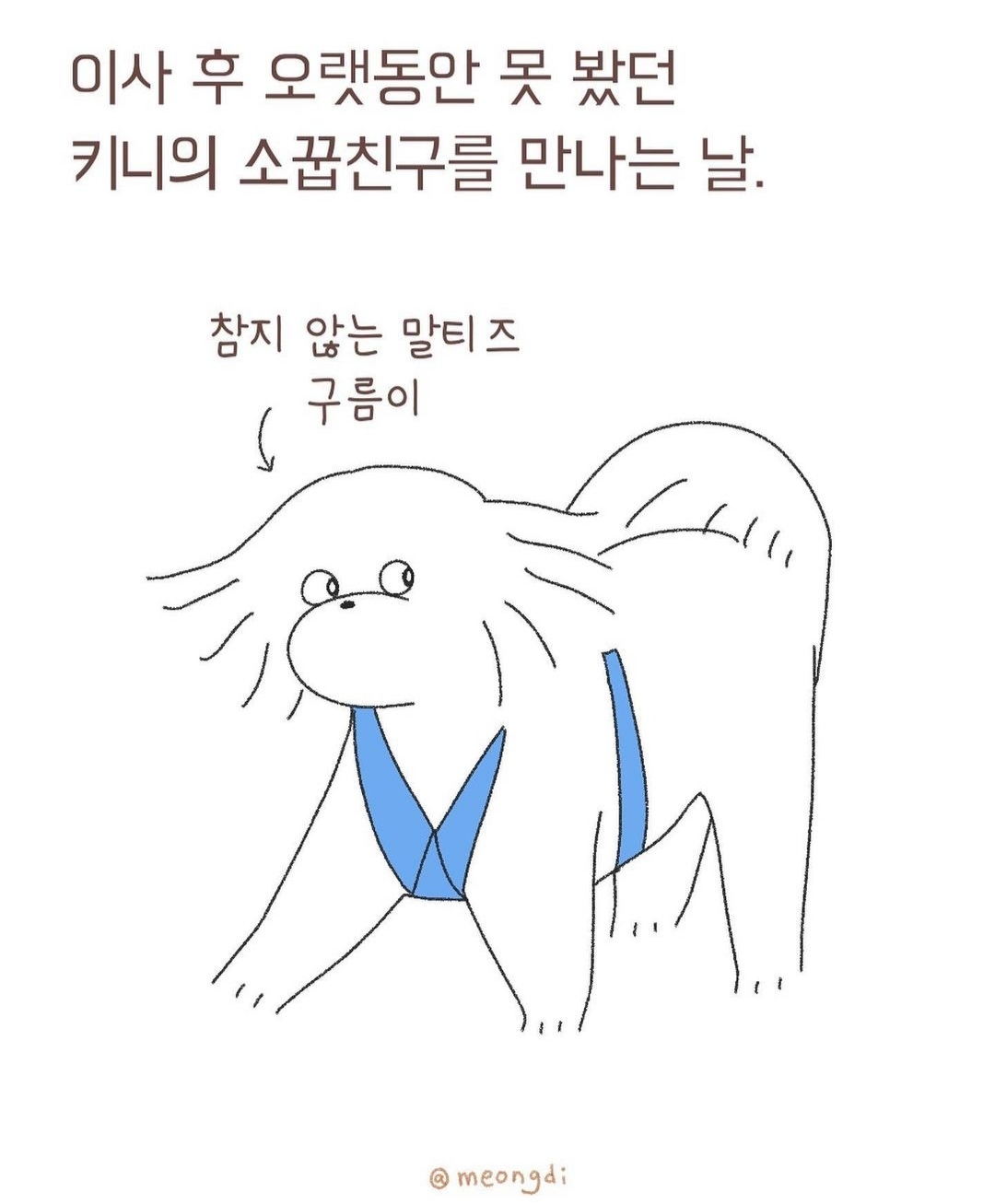  자신의 무해함을 최대한 어필하는 강쥐