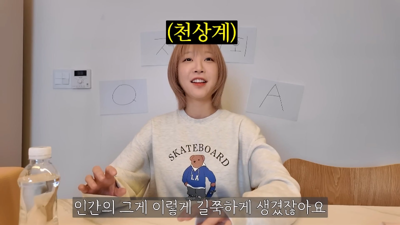 [쯔양 Q&A] "많이 먹으면 화장실도 많이 가나요?" | 인스티즈