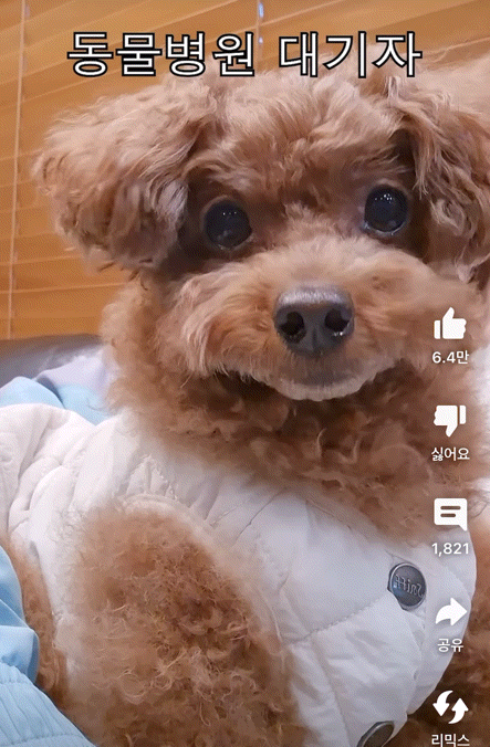 뭐 이렇게까지 떨 필요 있나 싶은 병원 대기자 | 인스티즈