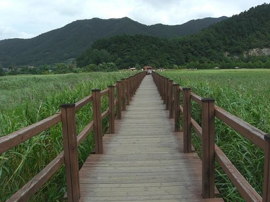 한국에서 2000년대 관광업이 급격히 발전한 도시 | 인스티즈