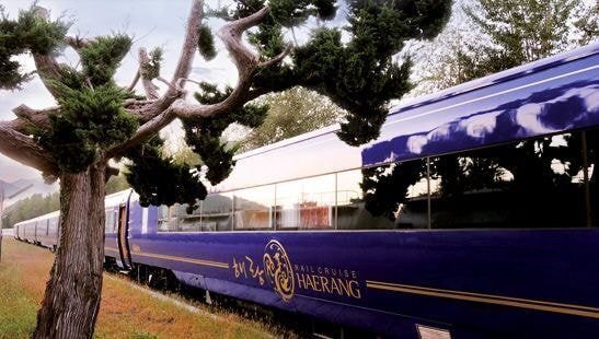 한국에서 대박 친 효도 상품 | 인스티즈