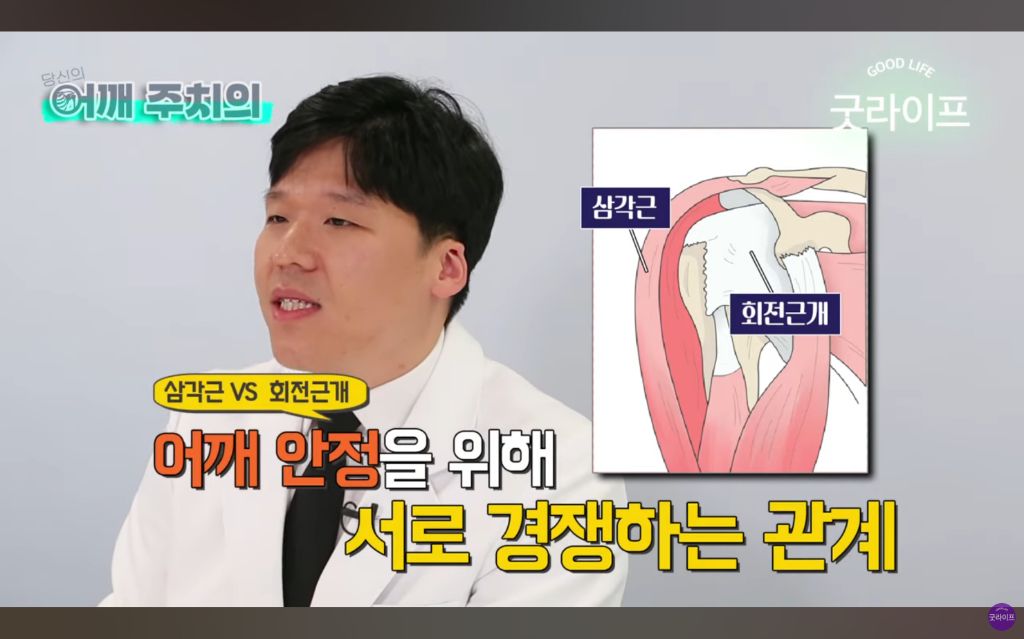 대부분의 상체운동은 하면 안된다는 정형외과 의사 | 인스티즈