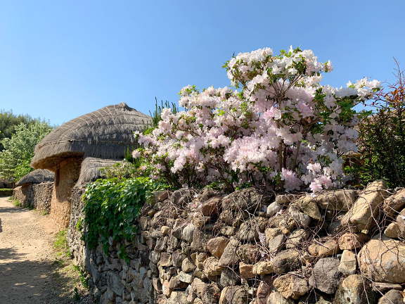 한국에서 2000년대 관광업이 급격히 발전한 도시 | 인스티즈