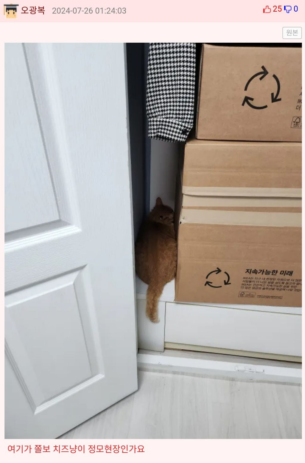 집 수리하는 아저씨 오셔서 셋 다 숨음 | 인스티즈