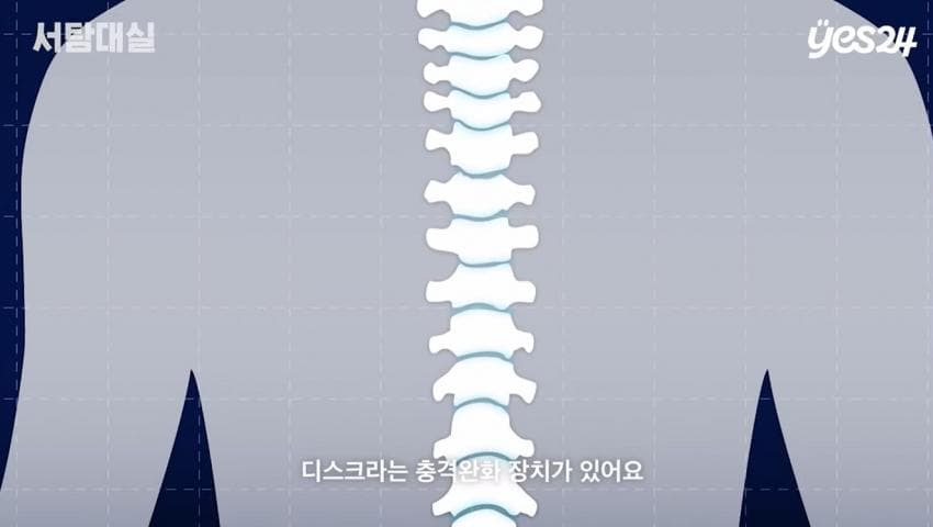 의사가 알려주는 독서를 위한 최적의 자세 | 인스티즈